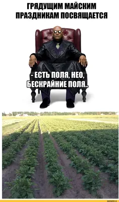 Прикольные картинки про огород (50 фото) » Юмор, позитив и много смешных  картинок