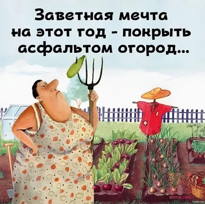 Сибирячка рассказывает в «ТикТоке» про сад и огород 29 июля 2021 г. - 29  июля 2021 - НГС