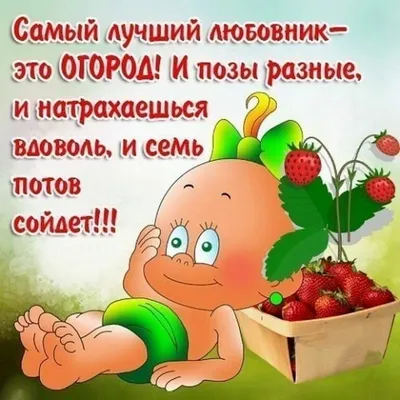 тиктоккомедии #приколы #ржут #юмор #смехдослёз #людукбатырь #огород | TikTok