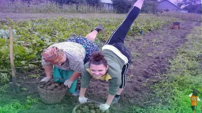 Анекдоты о дачниках, шутки и приколы про огород - Телеграф