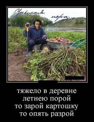 Просто прикольные картинки с надписями