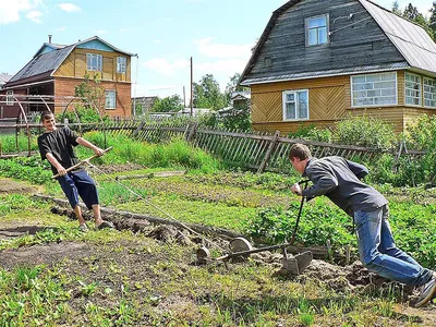 Весёлый огород / Весёлый огород / смешные картинки и другие приколы:  комиксы, гиф анимация, видео, лучший интеллектуальный юмор.