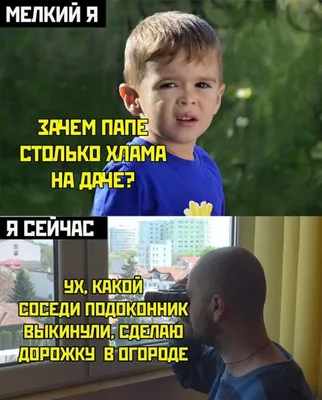 Выращиваю помидоры %) / огород :: растения :: дома :: помидоры / смешные  картинки и другие приколы: комиксы, гиф анимация, видео, лучший  интеллектуальный юмор.