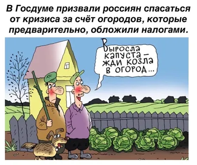 Картинки про дачу - 73 фото