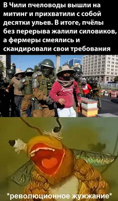 Прикольные идеи для дачи и сада (45 фото) | Уличный туалет, Садовые  украшения, Украшения
