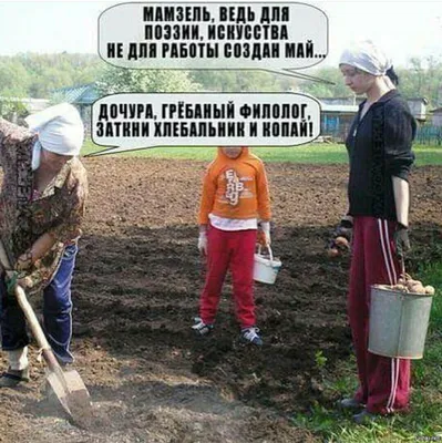 приколы #юмор #смех #мемы #смешно #прикол #мем #ржака #ржач #смешноевидео  #шутка #шутки #смешное #видео #лол #угар #весело #смешныевидео… | Instagram
