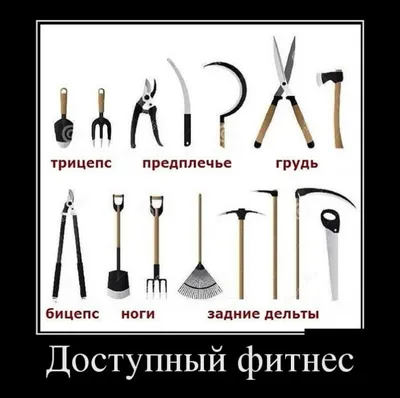 Лучшие картинки с прикольными надписями на майские
