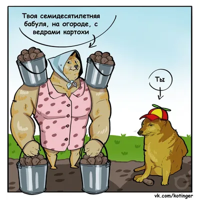 огород / смешные картинки и другие приколы: комиксы, гиф анимация, видео,  лучший интеллектуальный юмор.