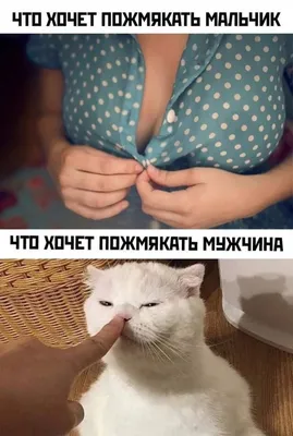 Как повысить урожайность помидор в теплице? #урожай #помидоры #теплица... |  TikTok