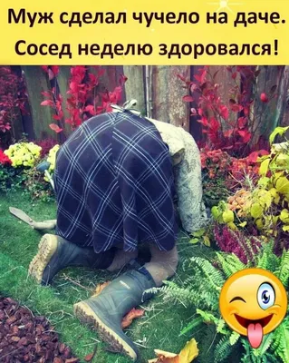 Приколы от деда | Пикабу