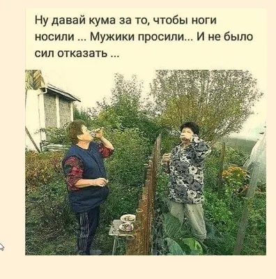 Картинки про дачу - 73 фото