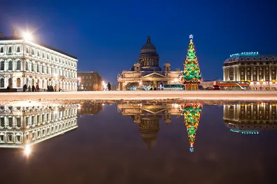 Санкт-Петербург и Смешные объявления: новости, события, благоустройство  города — Все посты | Пикабу
