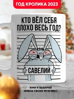 Прикольные кружки на новый год 2023 мужчине LA PRINT HOUSE Беларусь  138076170 купить за 402 ₽ в интернет-магазине Wildberries