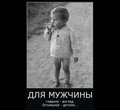 Смешанные, 2014 — описание, интересные факты — Кинопоиск
