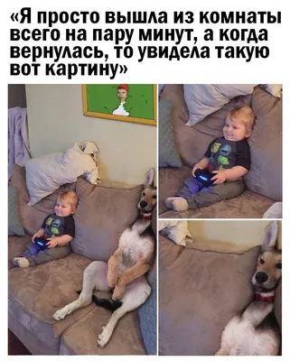 возраст / прикольные картинки, мемы, смешные комиксы, гифки - интересные  посты на JoyReactor / новые посты - страница 24