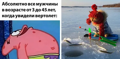 Смешные прикольные поздравления и тосты для мужчин, женщин, компании на  день рождения, юбилей, свадьбу в прозе и стихах