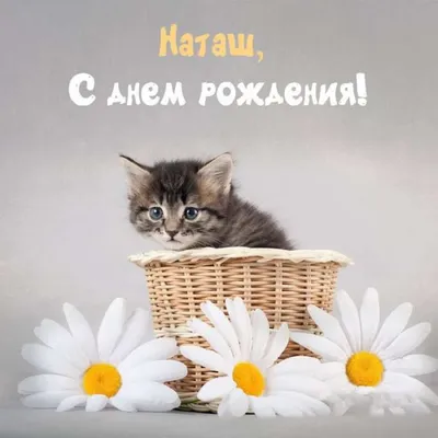 Открытки на День рождения Натальи