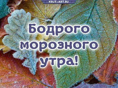 Красивая подборка открыток с добрым утром | Открытки, поздравления и  рецепты | Дзен