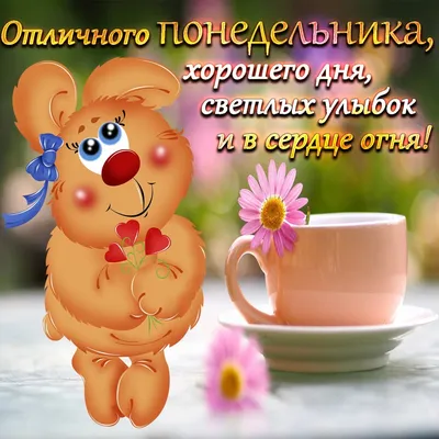 доброеутро #и #хорошегодня #☀️#☕️ #🍫 #❤️ | TikTok