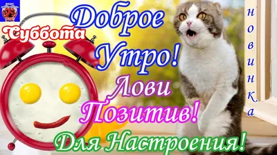 Красивые пожелания с добрым утром: стихи, проза, открытки - МЕТА