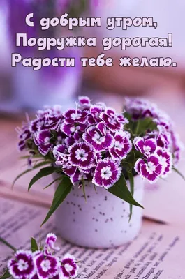 Открытки с добрым утром женщине и даме | Доброе утро, Открытки, Картинки