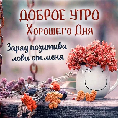 Картинка - Подруга, с Добрым Утром!.