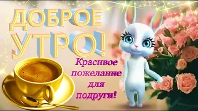 Прикольные и веселые картинки для подруги ко дню рождения | Вдохновляющие  фразы, С днем рождения, Вдохновляющие цитаты