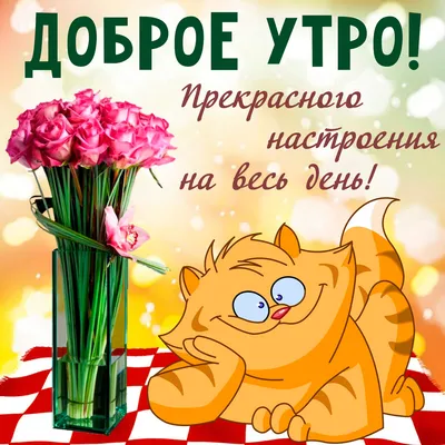 Самое красивое пожелание с Добрым Утром подруге! - YouTube | Подруги, Доброе  утро, С днем рождения подруга