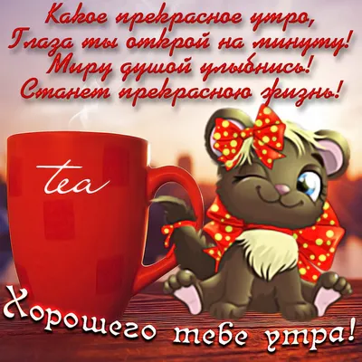 Пожелания девушке с добрым утром своими словами (20 лучших фото)