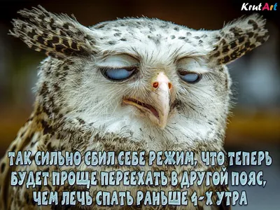 Красивые пожелания доброго понедельника в прозе: чтобы создать яркое начало  недели.