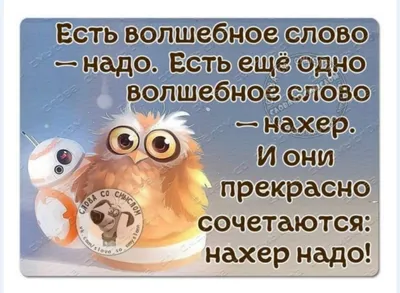 Рассказы региональных победителей четвертого сезона Всероссийского  литературного конкурса \"Класс!\"