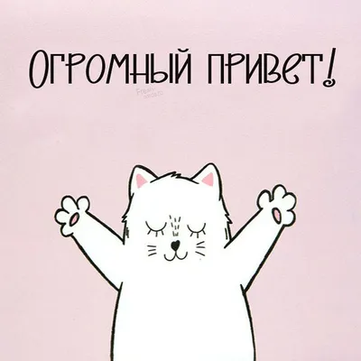 Красивые открытки и прикольные картинки с пожеланиями | Смешные открытки,  Открытки, Христианские картинки