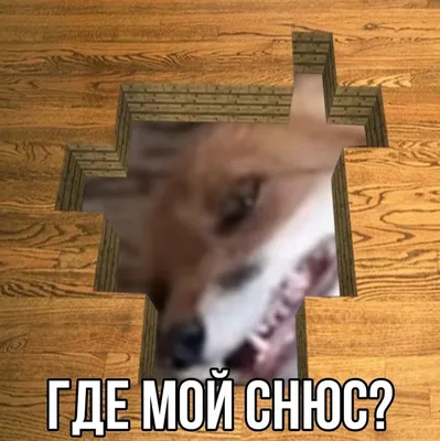 христианство это круто / смешные картинки и другие приколы: комиксы, гиф  анимация, видео, лучший интеллектуальный юмор.