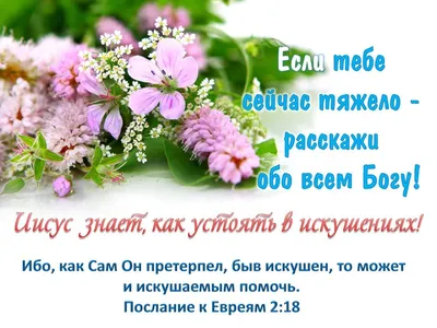 Мемы, приколы в 2023 г | Соль, Отец, Христианство