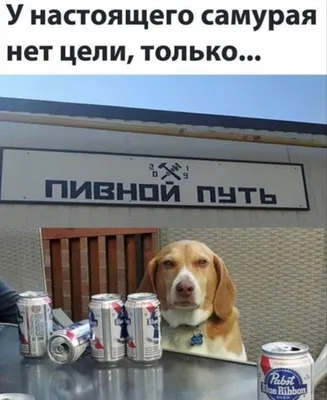 Пин от пользователя Ria на доске склад мемов | Мемы, Смешные мемы,  Христианские мемы