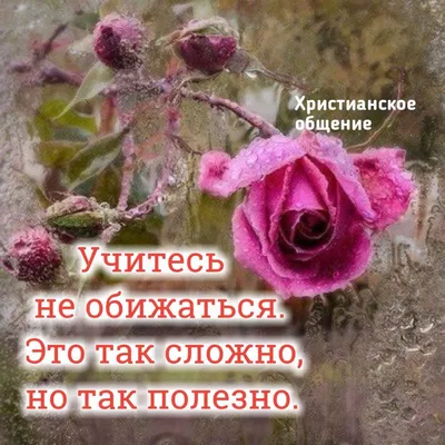 Христианские открытки и ободрения - 74 фото
