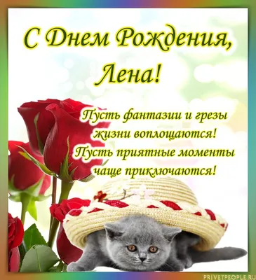 Картинки с Днем Рождения, Лена! – Привет Пипл! | Лень, С днем рождения,  Рождение