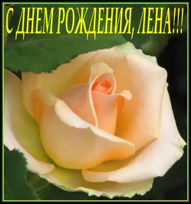 Гифки C Днём Рождения женщине