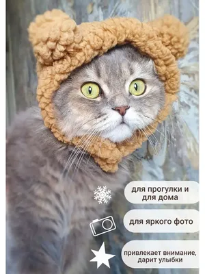 За 3 сентября, за Мишу!!! | Пикабу