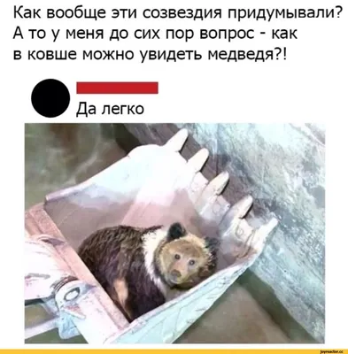 Поздравления с днем рождения Михаила прикольные - 72 фото
