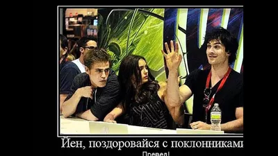 приколы про вампиров / смешные картинки и другие приколы: комиксы, гиф  анимация, видео, лучший интеллектуальный юмор.