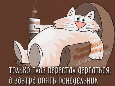 Вечер воскресенья картинки прикольные - 83 фото