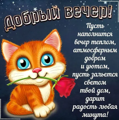 Смешные картинки вечера (74 фото) 🔥 Прикольные картинки и юмор