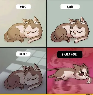 мульт#юмор#добрый вечер | TikTok