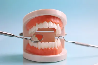 Болячка внутри щеки - Вопрос стоматологу - 03 Онлайн