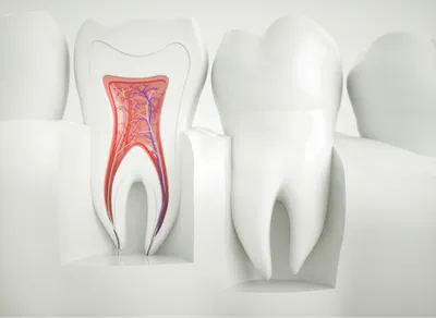 Болячка внутри щеки - Вопрос стоматологу - 03 Онлайн