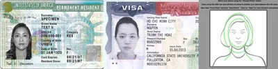 Как заполнить анкету на участие в Грин Кард Green Card 2024