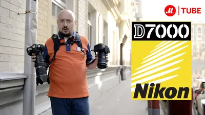 Обзор Nikon D7000. Тест камеры Nikon D7000. Отзывы на Никон Д7000. |  Радожива