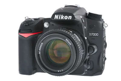 Отзыв о Цифровой зеркальный фотоаппарат Nikon D7000 | Мощная, современная  фотокамера. Близкая к профи. Примеры фото.