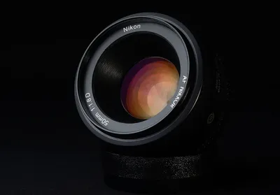 Примеры снимков и обзор объектива AF Nikkor 75-300 mm f/ 4.5-5.6 — Павел  Богданов
